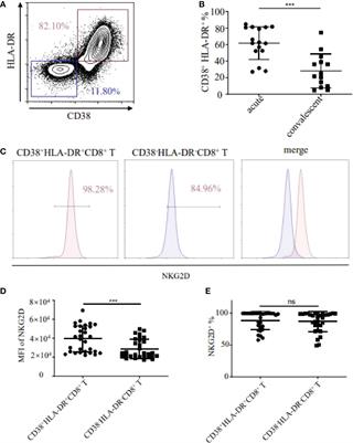 IL-15 induced bystander activation of CD8+ T cells may mediate endothelium injury through NKG2D in Hantaan virus infection